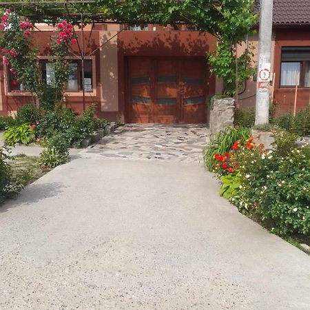 Hotel Casa Elena Ieşelniţa Exterior foto