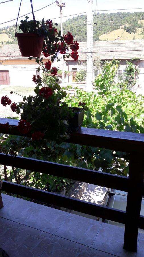 Hotel Casa Elena Ieşelniţa Exterior foto